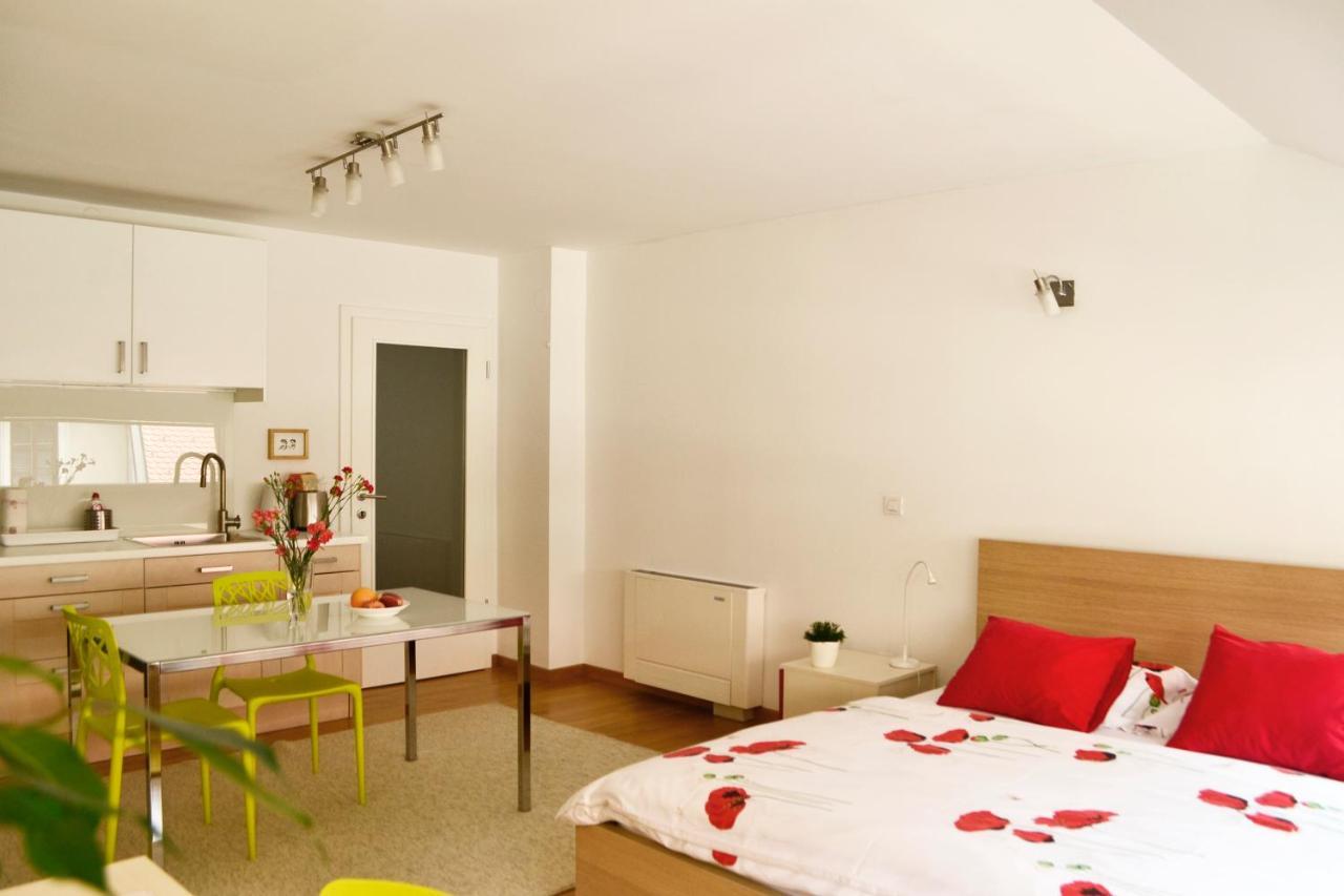 Studio in Ljubljana Center Esterno foto